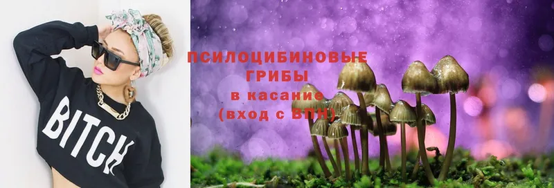 Псилоцибиновые грибы GOLDEN TEACHER  где продают   Кингисепп 